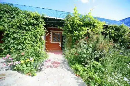 Лукоморе - 7