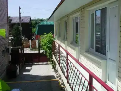 Стрижи - 1
