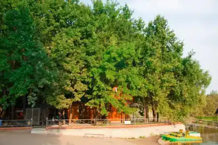 Дубрава - 21