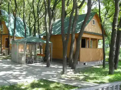 Дубрава - 25