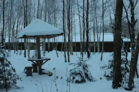 Подмосковный домик - 82