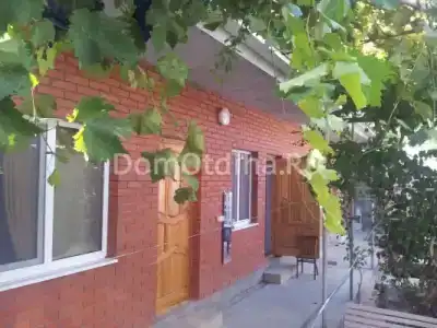 Эрика - 0