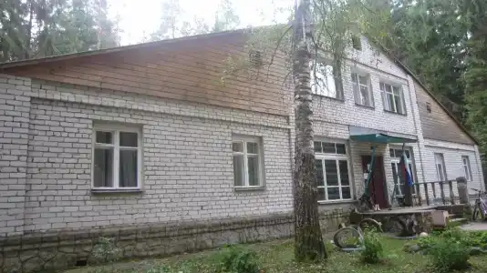 Лесной Родник - 96