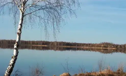 Белозерье - 11