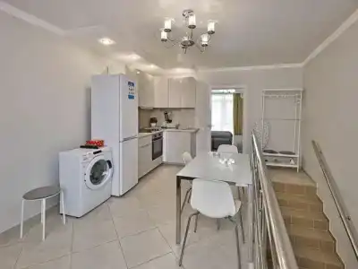 Альбатрос - 37