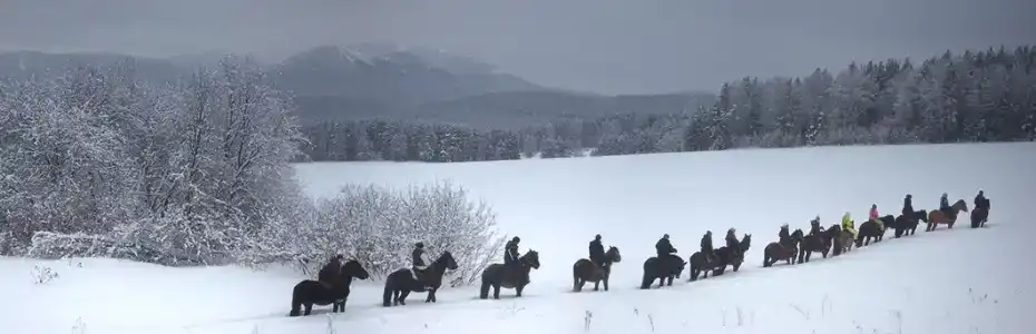 Сухов ключ - 14