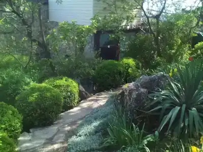 Замок грез - 10