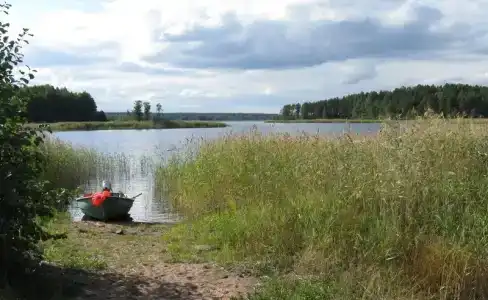 Холодный ручей - 18