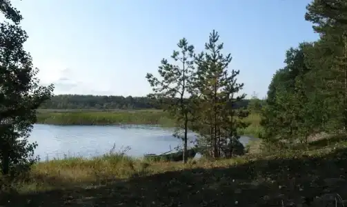 Холодный ручей - 23