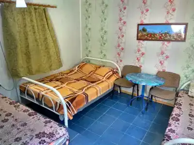 Ковчег - 20