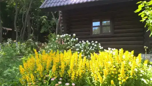 Хутор Калина Красная - 6