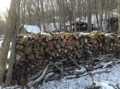 Хутор Калина Красная - 22