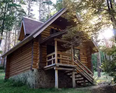 Чайка - 2