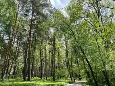 Sport Place - 22
