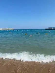 Beach Albatros - - 10