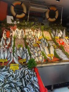 Prestige Old City - 26