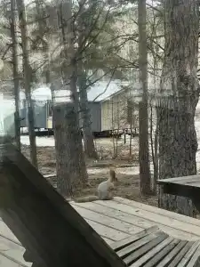 Wood Wood Wood - 29