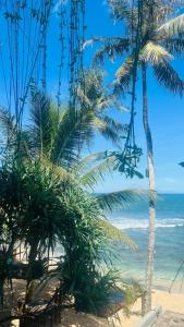 Cool Beach - 43