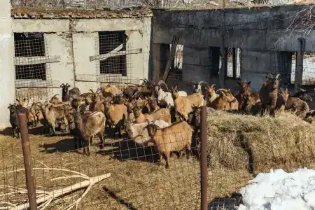 Охотничья заимка - 4