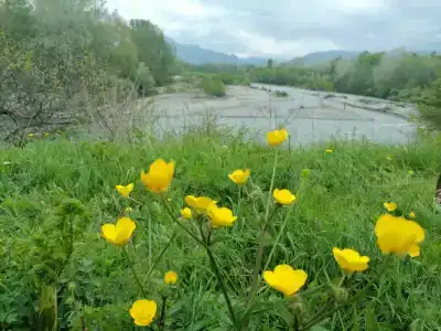 Ореховая роща - 5