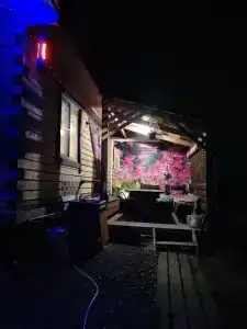 Теремок - 18