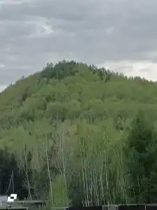 Шарголь - 26