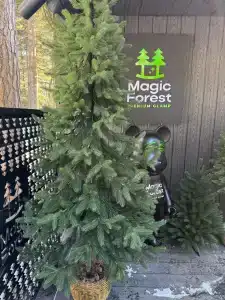 Magic Forest - 20