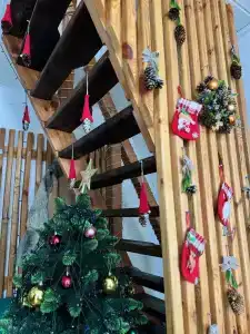 Родные просторы - 62