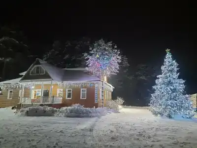 Усадьба помещика Гуляева - 83