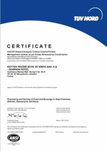 Gorrion Istanbul - 79