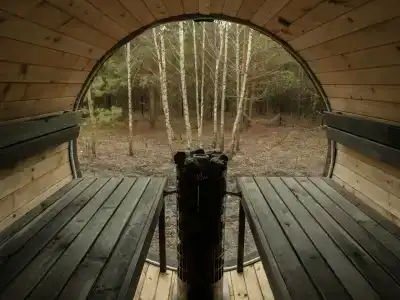 Betula - 47