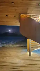 Жимолость - 10