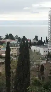 Мира на Курортном - 23