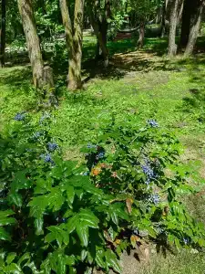 Южный Причал - 34