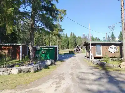 Лесная Поляна - 1