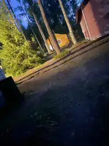 Рябинушка - 10