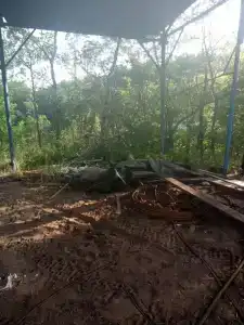 Искра - 19