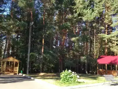 Алатырь - 25