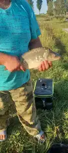 База отдыха у Василича - 65