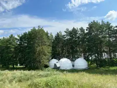 Йола - 2