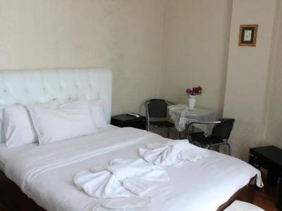 Ottoman Elegance - 41