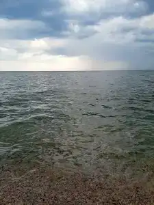 Максим - 8