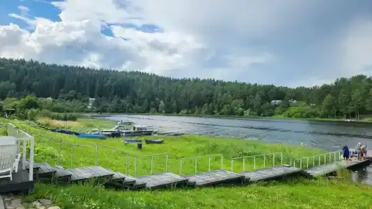 Тарулинна - 25