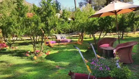 Koala Bungalows - 42