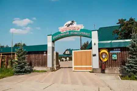 Аллюр - 0
