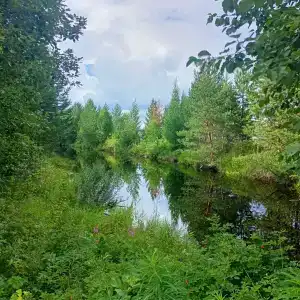 Спортинг клуб - 1