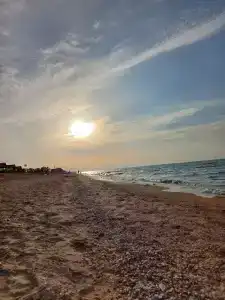 База отдыха у Петровича - 2