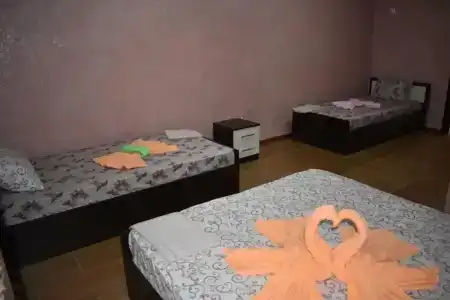 Дубрава - 42