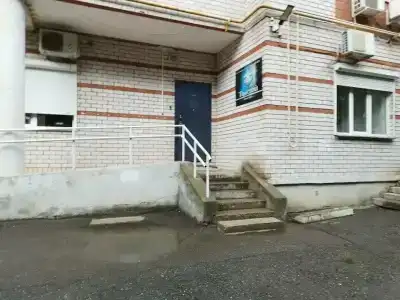 Толстой - 7