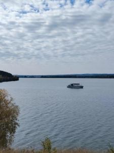 Сосновый бор - 83